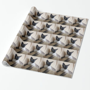 Ursnyggt Siamese kattansikte Presentpapper
