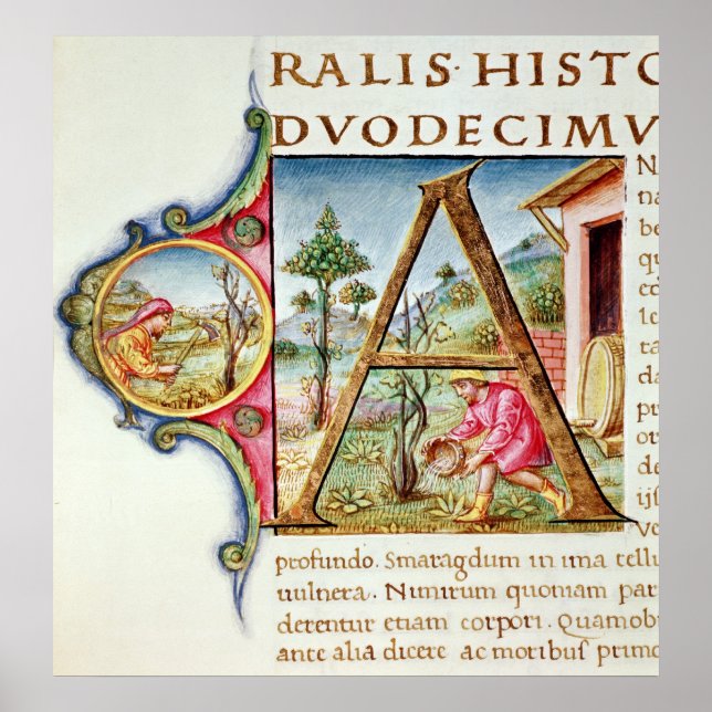 Ursprunglig A-bild med historik Poster (Framsidan)