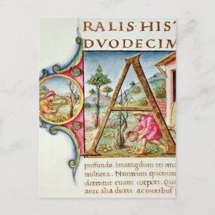 Ursprunglig A-bild med historik Vykort