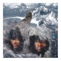 Ursprunglig anda i Alaska