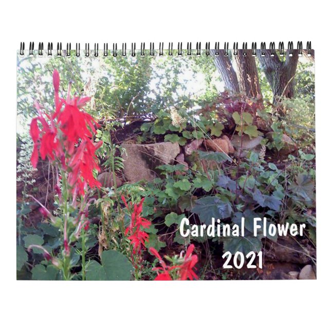 Ursprunglig Garden 2021-kalender Kalender (Baksida)