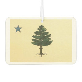 Ursprunglig maine State Gräs Träd Flagga Luft Fres