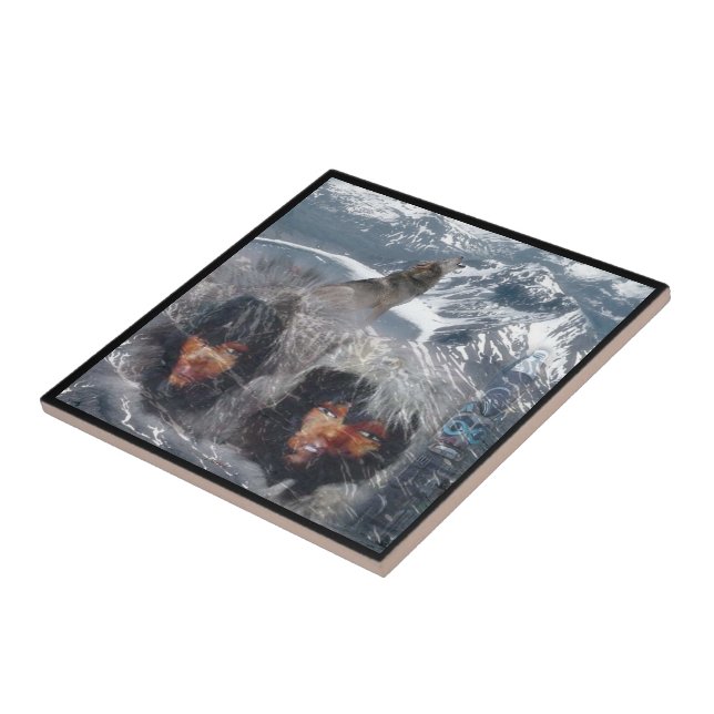 Ursprunglig sprit i Alaska Kakelplatta (Sidan)