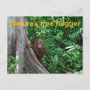 Ursprunglig Tree hugger Borneo-natur Vykort