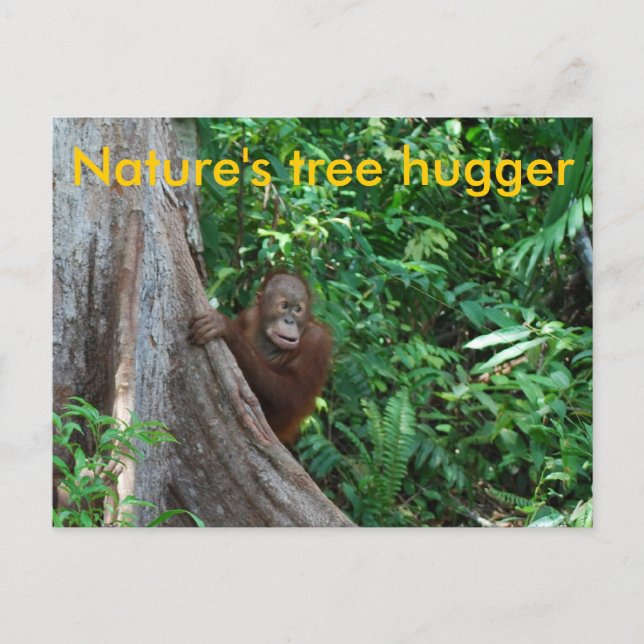 Ursprunglig Tree hugger Borneo-natur Vykort (Framsida)