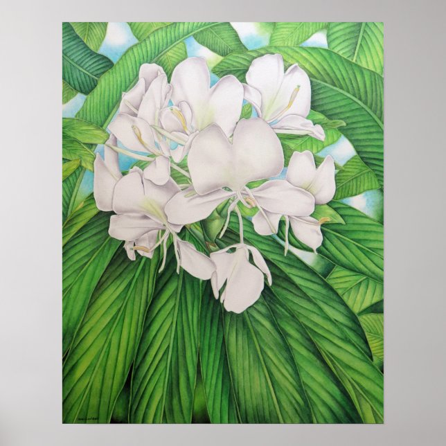 Ursprunglig vattenfärg av Joel W. Carlson of Honol Poster (Framsidan)