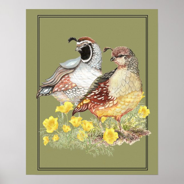 Ursprunglig vattenfärg Kalifornien Quail Male & Fe Poster (Framsidan)