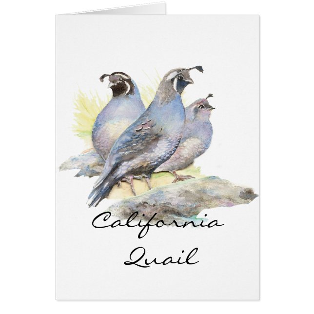 Ursprunglig Watercolor California Quail. Fågel Hälsningskort (Framsidan)