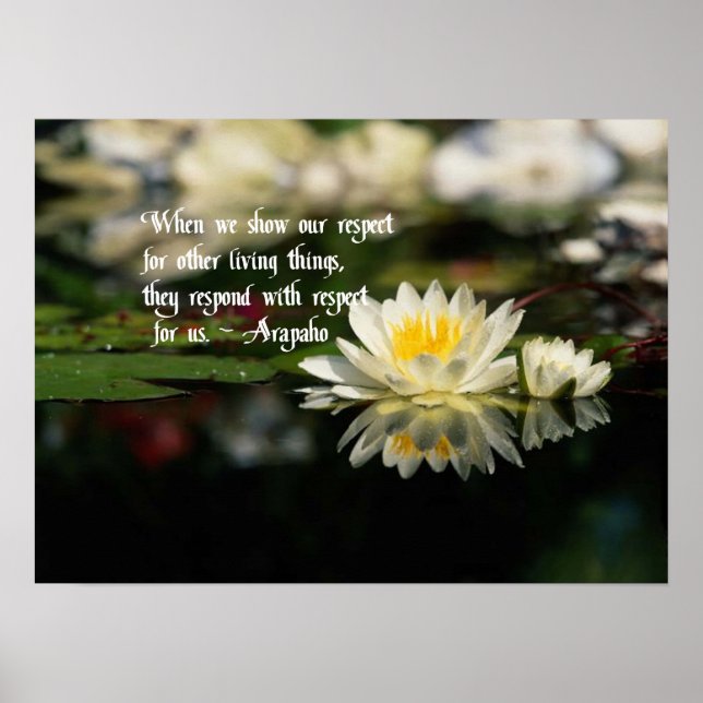 Ursprungliga amerikanska offerter poster (Framsidan)