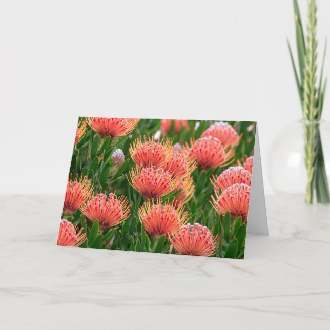 Ursprungliga blommor, Cape Town South Afrika Helgkort (Framsida)