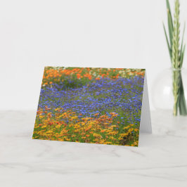 Ursprungliga blommor, Kapstaden Helgkort