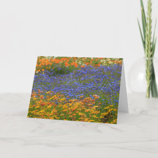 Ursprungliga blommor, Kapstaden Helgkort