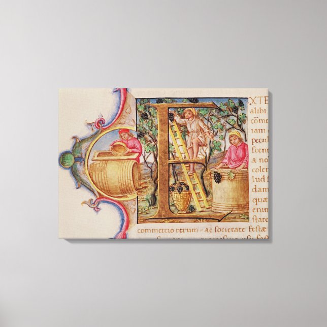 Ursprungligt "E" med historik som skildrar druvplo Canvastryck (Framsida)