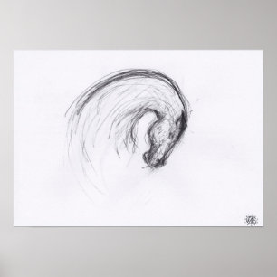 Ursprungligt Teckning 2-hästdjurets zodiakår Poste Poster