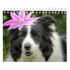 Ursprungligt unikt Gräns Collie Hund Kalender