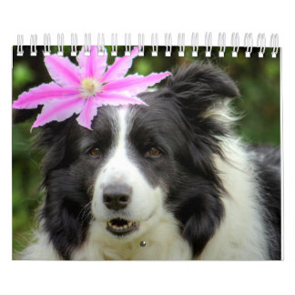 Ursprungligt unikt Gräns Collie Hund Kalender