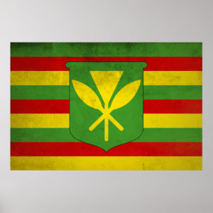 Ursprungsbefolkningen Hawaiis flagga Poster
