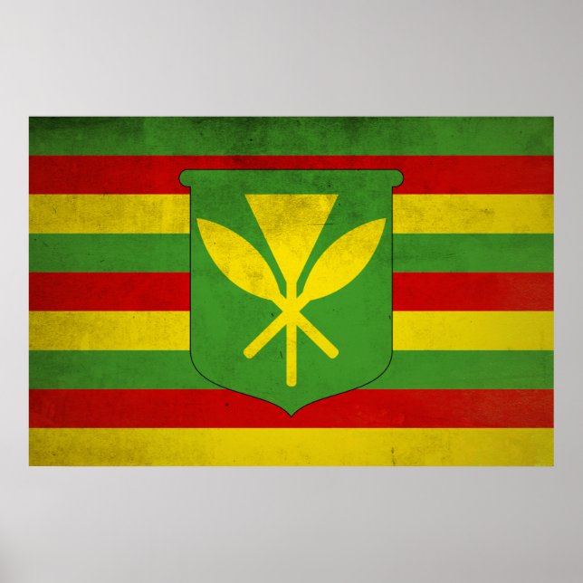 Ursprungsbefolkningen Hawaiis flagga Poster (Framsidan)