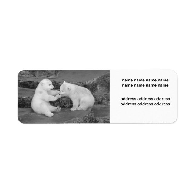 Ursus maritimus returadress etikett (Framsidan)
