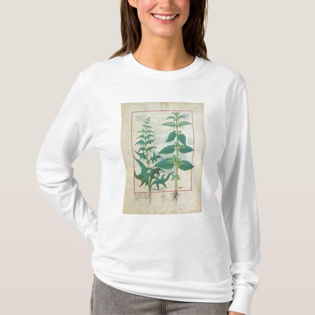 Urticaceae T Shirt (Framsida)