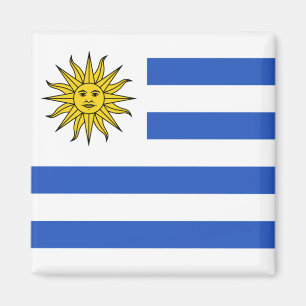 Uruguay flaggamagnet magnet