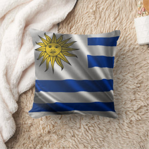 Uruguay Flagkudde Kudde