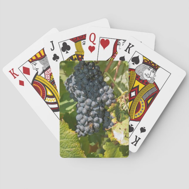 Uruguay, Montevideo, Colon Area. Bodegas Spelkort (Baksidan)