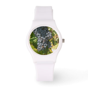 Uruguay, Montevideo, Colon-området. Vinlager Armbandsur
