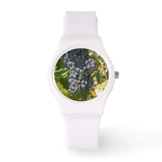 Uruguay, Montevideo, Colon-området. Vinlager Armbandsur (Framsida)