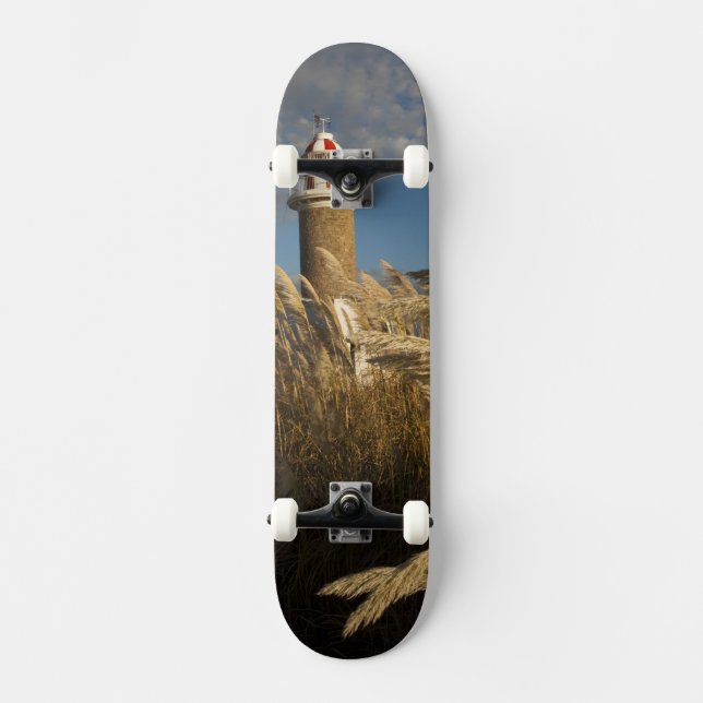 Uruguay, Montevideo Department, Montevideo. 2 Skateboard Bräda 21,5 Cm (Framsida)