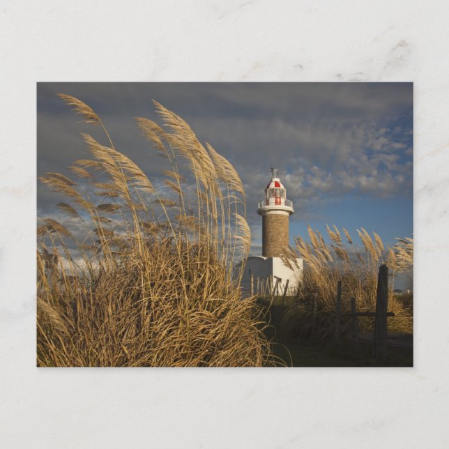 Uruguay, Montevideo Department, Montevideo. Vykort (Framsida)