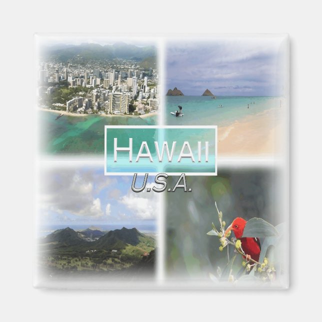 US0145 America, United Stater, Hawaii, Fridge Magnet (Framsidan)