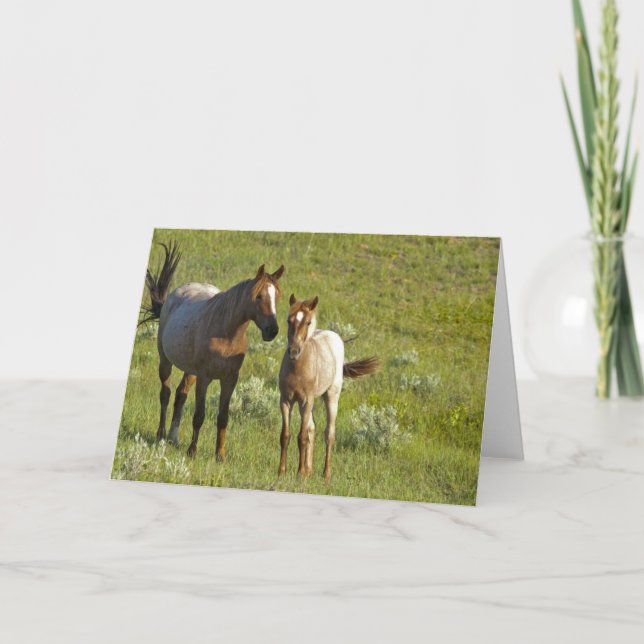 US35 CHA0209.jpg Kort (Framsida)