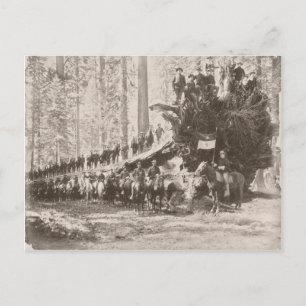 US Calvary skyddar Parker Vykort