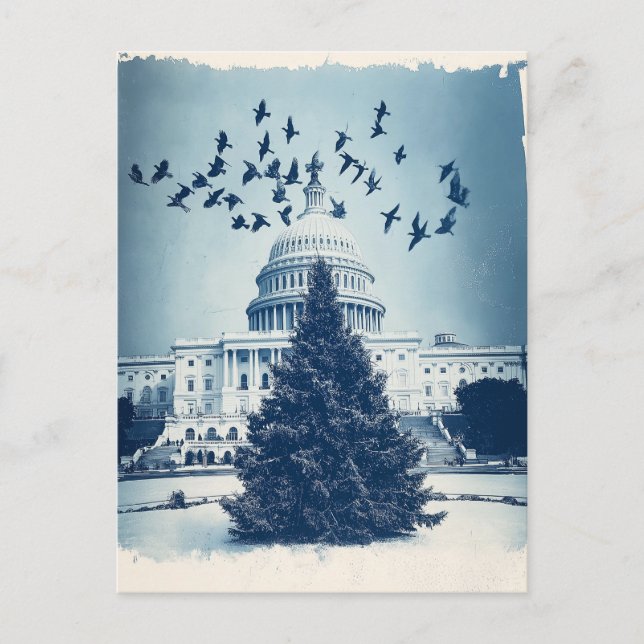 US Capitol Hill julgran julkort, retro Helg Vykort (Framsida)
