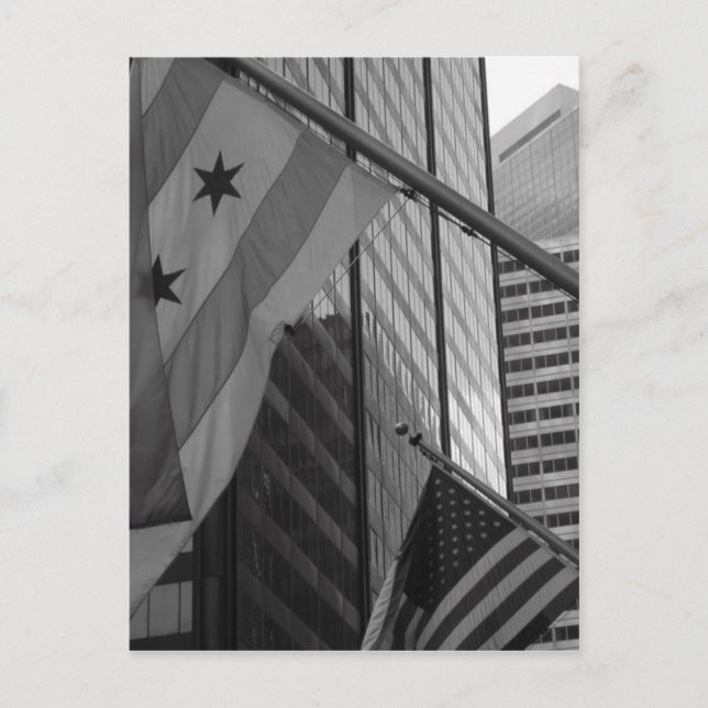 US & Chicago City flagga Vykort (Framsida)