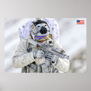 US COMBAT PERSONNEL POSTER