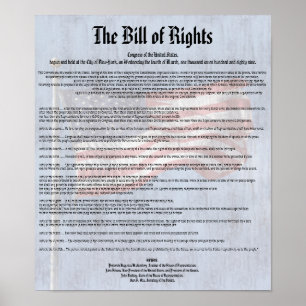 US Constitution Bill of Högers History Classroom Poster