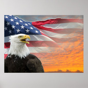 US Flagga Eagle Poster