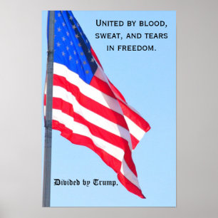 US flagga: Förenade..i frihet/ delad med Trump Poster