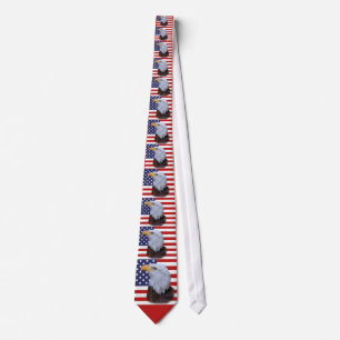 Us-flagga och amerikanörn slips