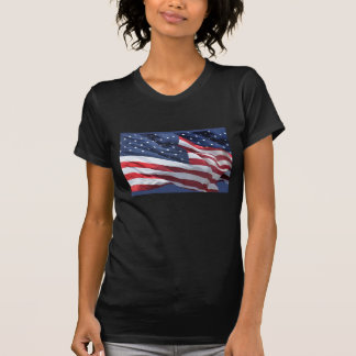 US Flaggor Art T-shirt