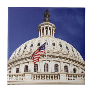 Us-huvudstadbyggnad, Washington DC Kakelplatta