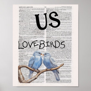 US - LOVEBIRDS POSTER