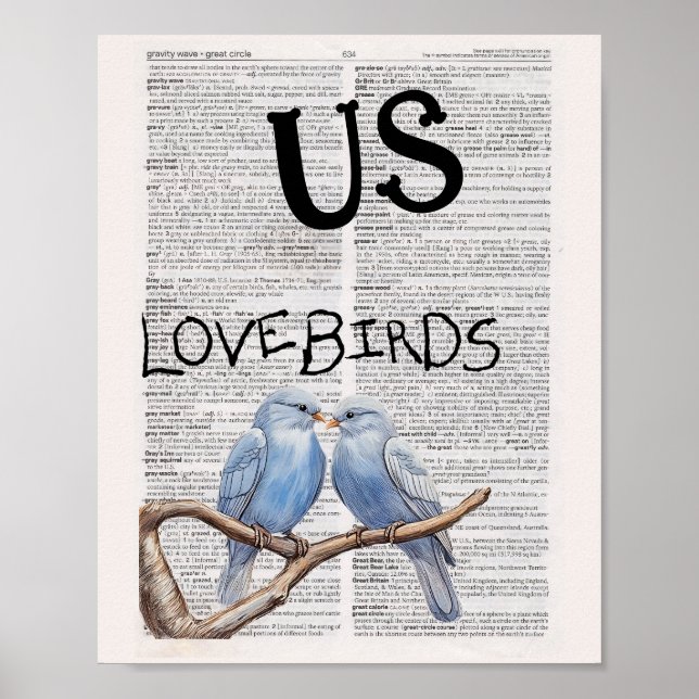 US - LOVEBIRDS POSTER (Framsidan)