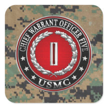 US Marines: Chief Warrant Fem (USMC CWO-5) [3D]