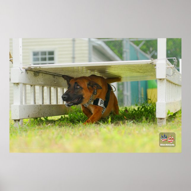 US MILITÄR ARBETSHUND POSTER (Framsidan)