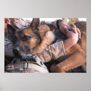 US MILITÄRA ARBETSTAGARE HUND POSTER