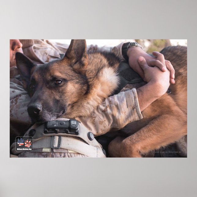 US MILITÄRA ARBETSTAGARE HUND POSTER (Framsidan)