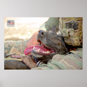 US MILITÄRA ARBETSTAGARE HUND POSTER